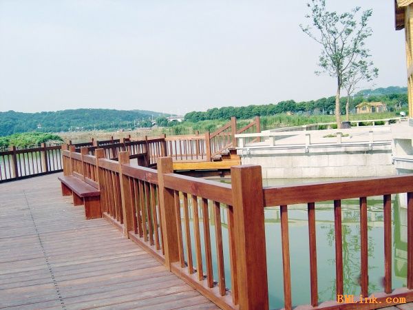 ����ľ��߅�o(h��)��