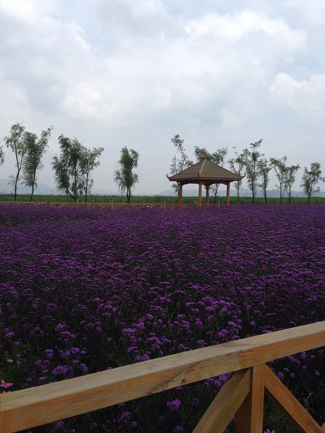 ľ���o(h��)��