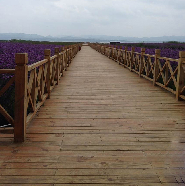 ľ���L(zh��ng)��